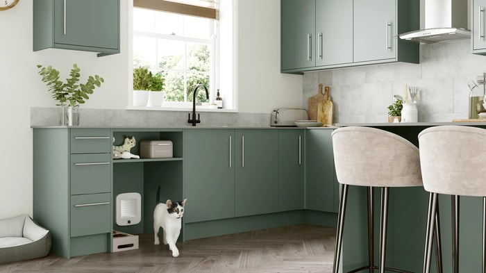 Orlando Reed Green Kitchen with a cat station